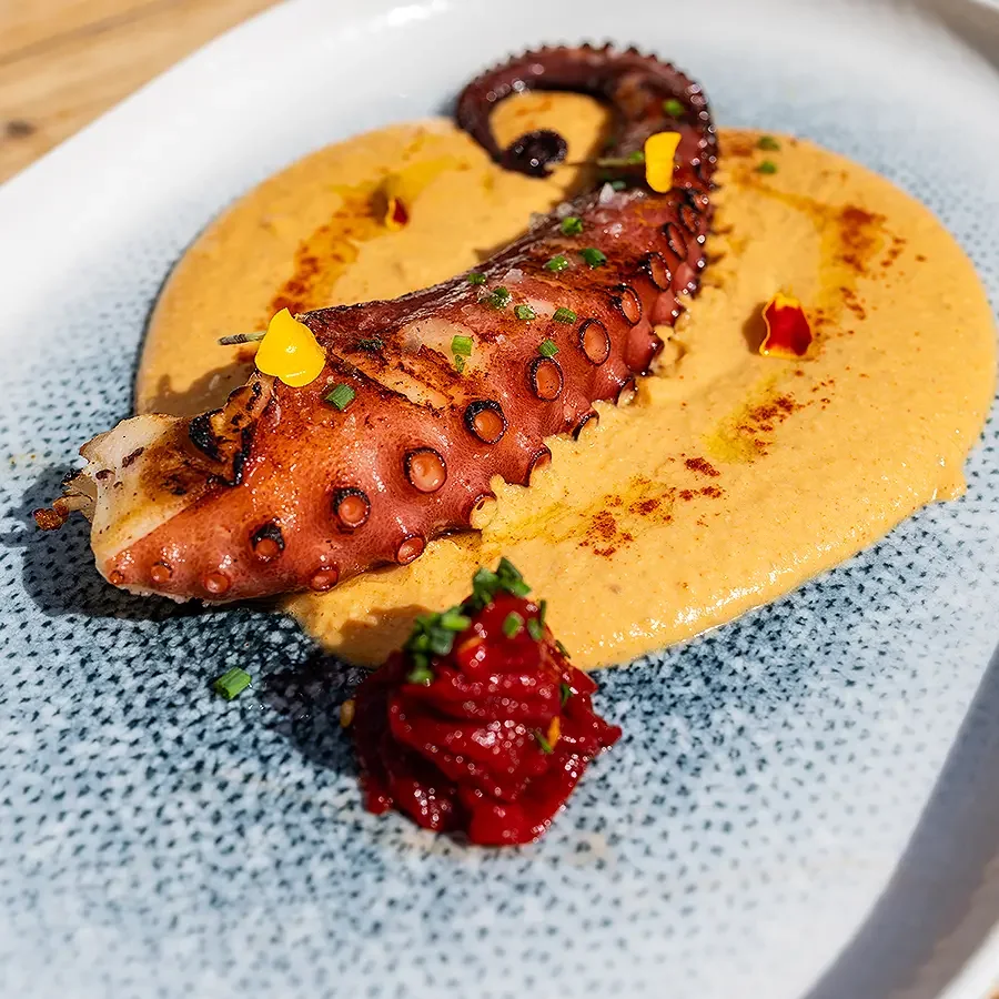 Octopus from the grill