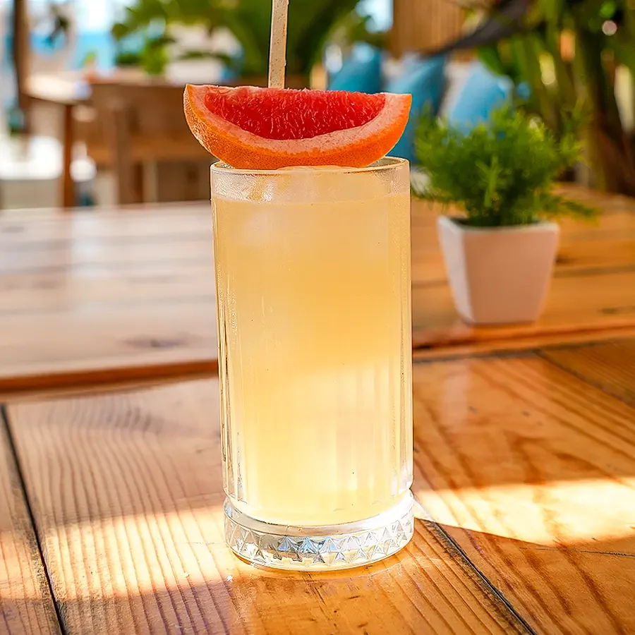 Paloma