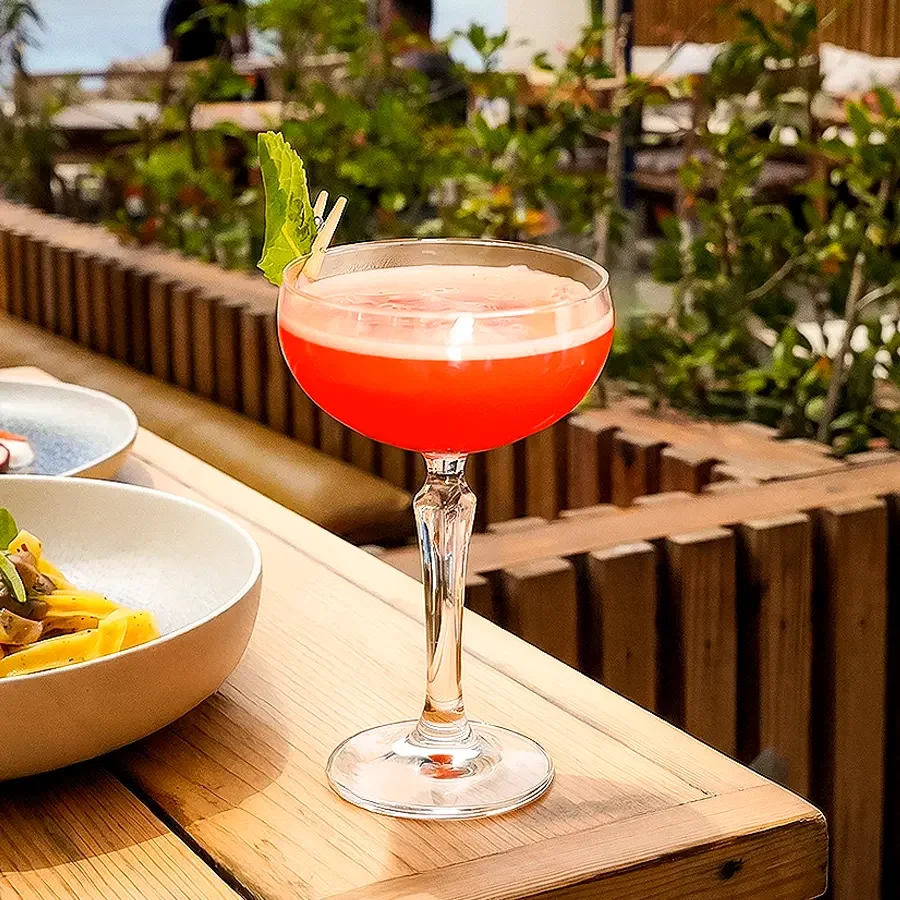 Watermelon Martini